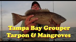 Big Gag Grouper Catch, 2 Big Tarpon Hookups & Jumps & Caught 2-13" Mangrove Snappers. A Good Day!