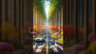 Quraan #viralvideo #trending #love #shorts #shortsfeed #shortvideo #short #video #viralshorts #reels