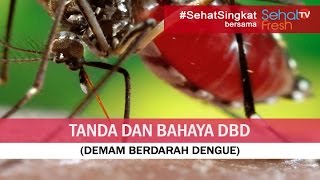 Gejala Dan Tanda Bahaya DBD (Demam Berdarah Dengue)