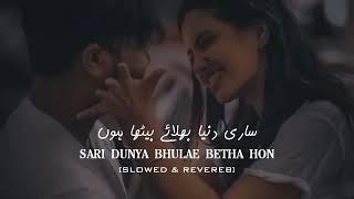 Sari Dunya Slowed & Reverb - Kitni Chahat - Urdu Slowed Reverb Songs - Sajjad Solangi New Lofi Song