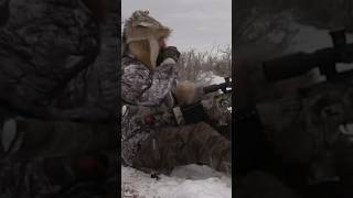 Coyote hunting in the snow #coyotehunt #hunting #catchandcook