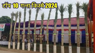 टॉप 10 गन्ना किस्मे 2024 | Top 10 sugarcane varieties