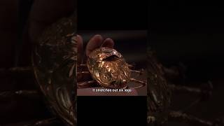 Old man finds a golden Scarab with strange powers