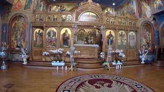 Divine Liturgy, June 9, 2024