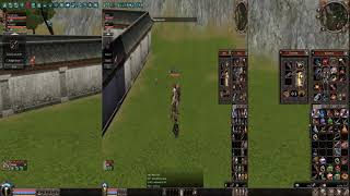 Metin2ro Carpathians , Ninja Arc KingFastu Test damage Partea l