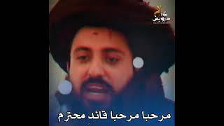 new TLP Tarana jane man ast to ibne rizve marhaba marhaba qaedi muhtarem