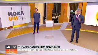 Tucano ganha prótese no bico fabricada em impressora 3D