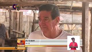 Cuba Las Tunas se destaca en la elaboración de materiales de la construcción