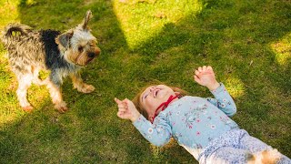 Protecting Your Yorkie from Wildlife Encounters Essential Tips to Keep Your Tiny Pet Safe