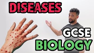 GCSE Biology - Infectious Diseases Rap