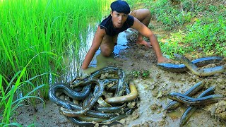 Catch a lot of eels in the ground | cook ells with peppers for eat in forest-Eating delicious