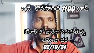 2 October 2024|| అతి భారీ ధరలో కోలార్ మార్కెట్ | భారీగా పెరిగిన టమాటా ధర