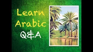 Learn Arabic Review and Suggestions