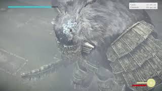 Shadow of the Colossus (PS4) Hard Time Attack: Colossus 15 (Argus)