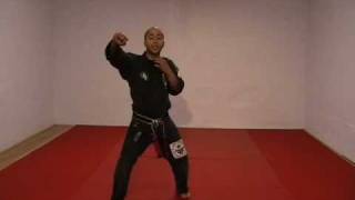 CASA DE KENPO - AMERICAN KENPO - LONG FORM 2