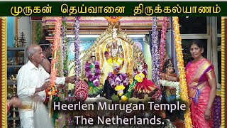 லிம்பேர்க் முருகன் திருக்கல்யாணம் 31-10-2022 Limburg Murugan Temple The Netherlands.