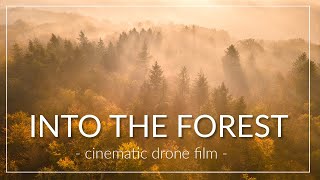 Into The Forest | cinematic drone film | shot on Canon EOS R & DJI Mavic Air 2