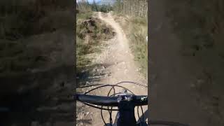 Llandegla MTB -JJs Jump Line #Shorts