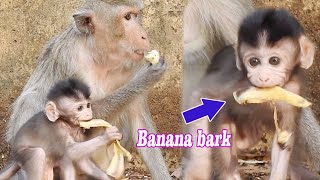 Adorable funny action..!! Tiny baby Simone don't know what is food? Simone try to eat banana bark