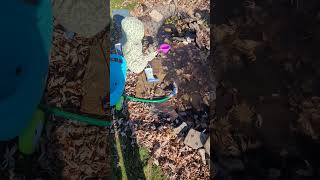 Helping to clean the leaves from the garden pond.