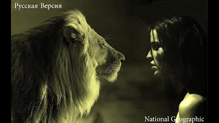 Lion Super Predators Documentaries @National Geographic Channel TV