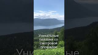 Алтай заповедный у Телецкого озера. Altai Republic. #shorts #shortsvideo #алтай #телецкоеозеро