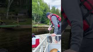 Trick or Treats. Halloween at the Lake. #boating #pontoon #lake #holloween #lakelife #summer