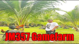 Lets Visit The Farm Of JM357 Gamefarm