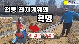 고추대 자르는 기가막힌 방법