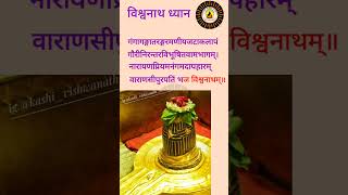 Vishwanath Dhyan | विश्वनाथ ध्यान | Vishwanath Prarthana | विश्वनाथ प्रार्थना #Shivstuti #vishwanath