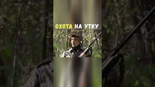 Охота на Утку | Приколы Охота Рыбалка Туризм | Тик Ток #Shorts