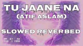 Tu Jaane Na (Slowed + Reverbed) | Atif Aslam | Lofi Music