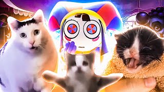 The Amazing Digital Circus Theme Meme Cats Version