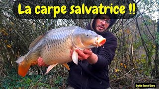 La carpe salvatrice