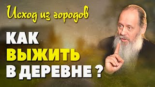 Как прокормить себя на земле? (о. Владимир Головин)