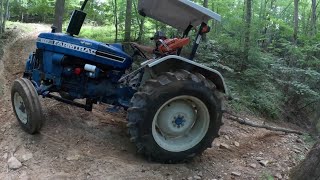 Felling, Skidding, and Splitting Firewood Trees!