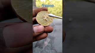 Lemon magic || Experiment || 👨‍🔬🤯💥 || #shorts #experiment #ytshorts