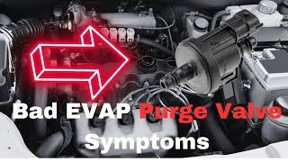 Symptoms of a Bad Purge Valve: 5 Common EVAP Valve Signs