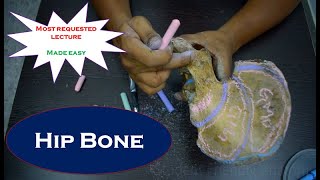 Anatomy of Hip bone - Simplified and made easy - Simplified & made easy for beginners