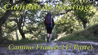 Camino de Santiago (1ª parte) | Camino Francés