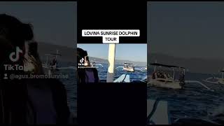 LOVINA SUNRISE DOLPHIN TOUR #abstravelbali