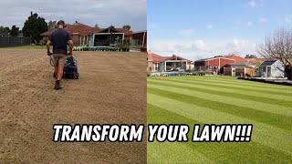 The Ultimate Lawn Renovation Guide!!