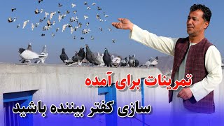 تمرینات برای آمده سازی کفتر بیننده باشید /0137Afghan Shawqi