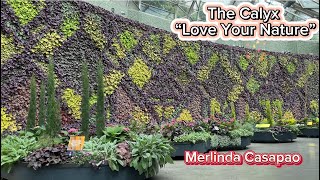 The Calyx’s “Love your Nature “ #gardening  #hobby  #flowers  #garden  #plants  #viral  #showroom