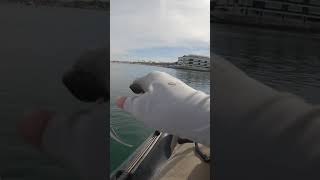 Catching strange fish with teeth