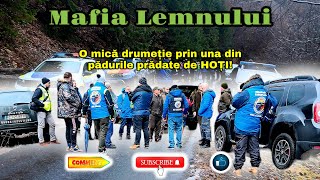 Mafia Lemnului! | Drumetie alaturi de autoritati prin una din padurile pradate de HOTI! | Video 125