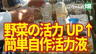 クエン酸二価鉄液と酢酸マグカル液、手作り活力液の作り方。野菜の根張りと吸収力アップに効果的な自作活力剤です。【酢】【苦土石灰】10/11