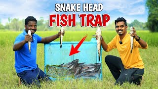 கூண்டு வச்சி Easy Ya விரால் மீன் பிடிக்கலாம் | Snakehead Fish Trap | Amazing Fish Trap