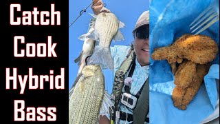 Catch & Cook | EPIC Wiper Action on Evergreen Lake