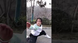 Chinese kung fu, Shaolin Kungfu. tai chi kungfu